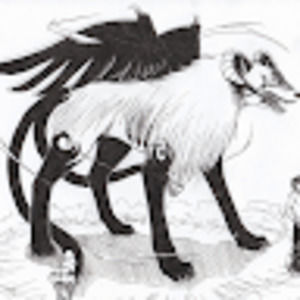 Meet your Posher, Brynn